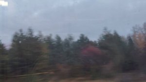Поездка в Москву из Нижнего Новгорода на Ласточке, поезд 721