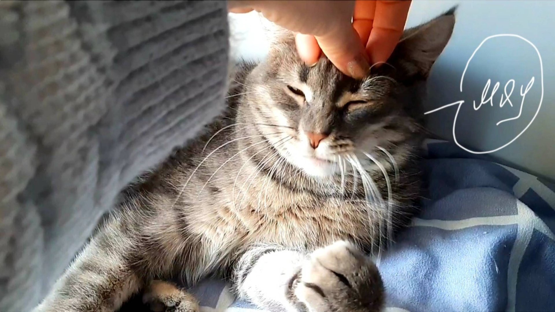 у меня нет МУЖА и меня это БЕСИТ смотреть онлайн