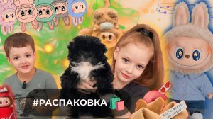 МеГа РаСпАкоВоЧкаааа👾мама в обмороке 🫨а у нас парад лабубу 😀✨🙌🏻🤣🤪