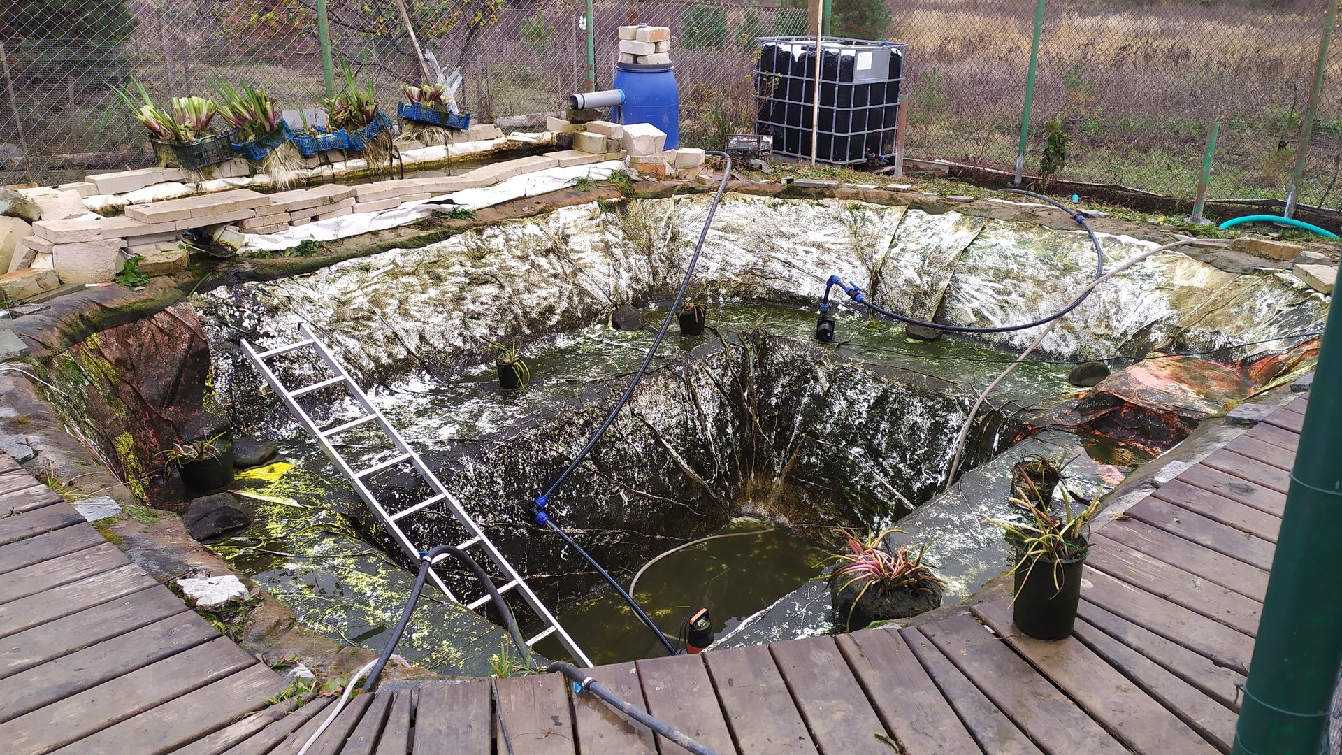 Готовлю пруд к зиме. Осенняя очистка пруда. смотреть онлайн