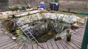 Готовлю пруд к зиме. Осенняя очистка пруда.