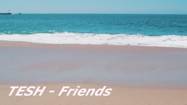 TESH - Friends