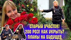 200 РОЗ! КАК УКРЫВАЕМ розарии на зиму! Наш СТАРЫЙ УЧАСТОК и РАЗГОВОРЫ о БУДУЩЕМ!