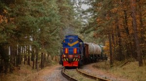 «С громким тифоном пробирается по Томилиновскому лесопарку» ТЭМ2-1212 Лыткаринское ППЖТ