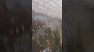 Аня на прогулке хулиганит😝😝😝
