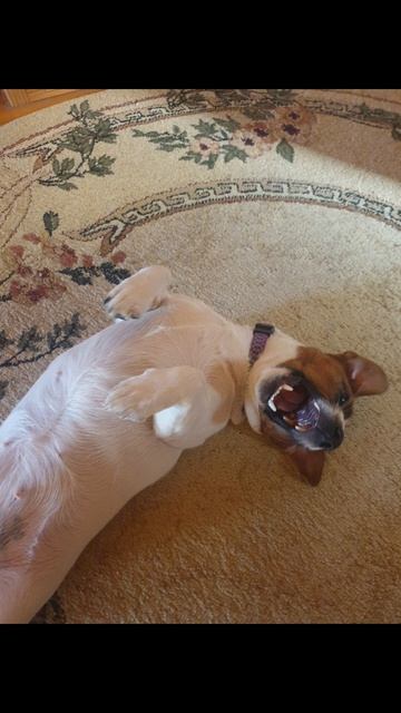 lv_0_20251018111510.mp4 смотреть онлайн