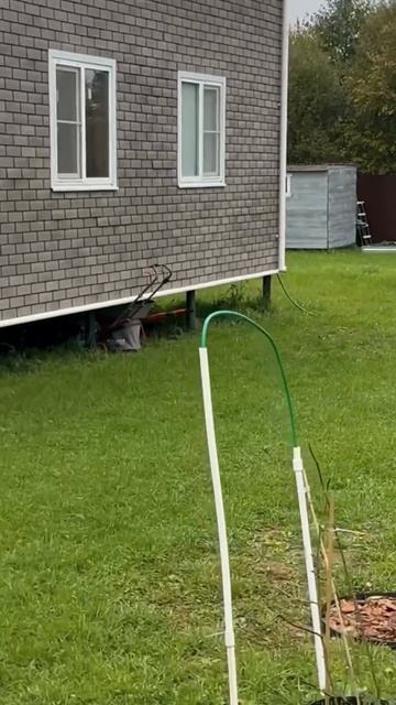 Это наш синий мустанг))) смотреть онлайн