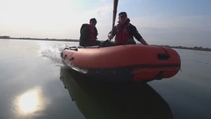 Сравниваем 9.8 Тоха, Ниссан, Миссан и Тояма