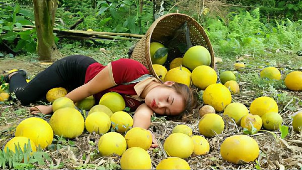 Сбор грейпфрута для продажи на рынке. Прополка участка. Жизнь во Вьетнаме