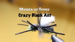Мушка из Пенки Crazy Black Ant Как связать от GM FLY