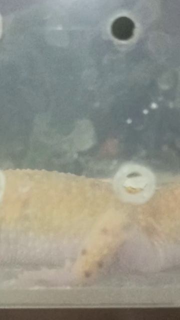 Вечер в нашем коллективе. 17 октября 2025 г. смотреть онлайн