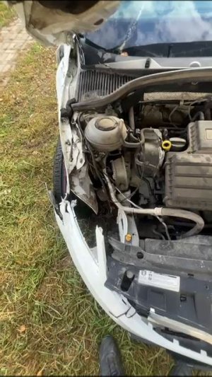 b0756c02-431d-4e58-a607-ae89fb527c85