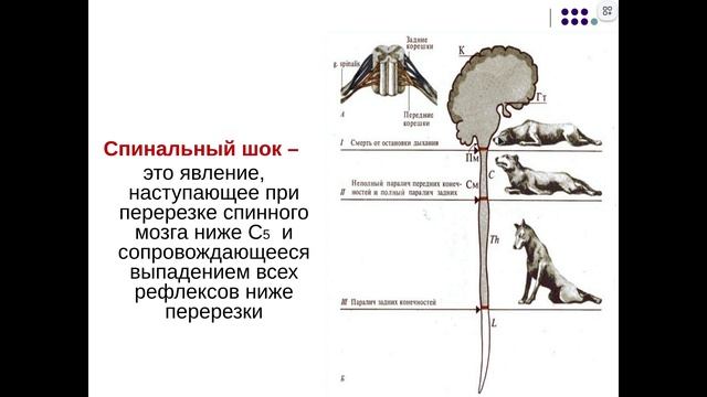 ЧНС1 смотреть онлайн
