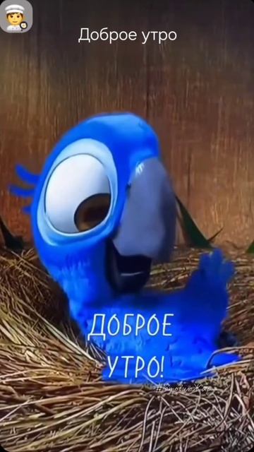 Доброе утро #утро #рек #музыка #настроение #готовимжар #лайк #рек смотреть онлайн