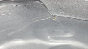 Ручка багажника Geely Tugella натрирает ЛКП