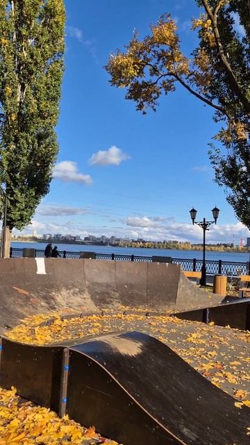 А в чем Ваш смысл жизни?