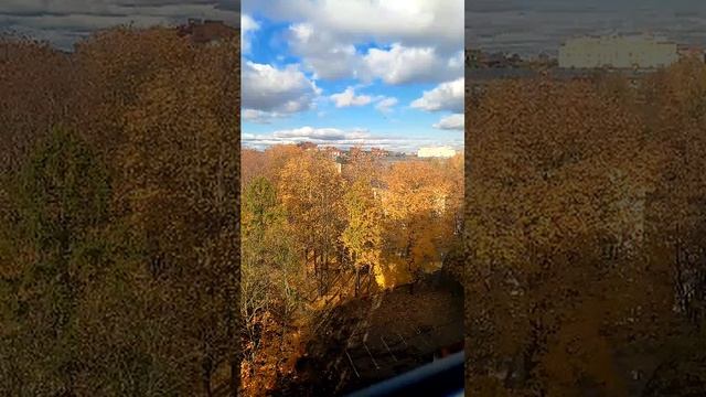 в Санкт-Петербурге чудесная погода. смотреть онлайн