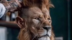 Защита курсовой работы по дисциплине "Базы данных"