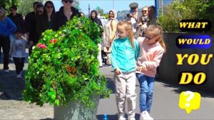 bushman ,_What Happens When Your Curiousity sets attention