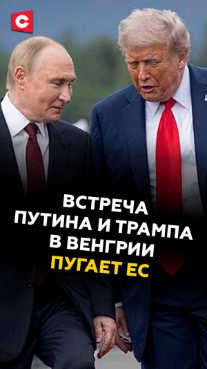 Встреча Путина и Трампа в Венгрии пугает ЕС! #путин #трамп #зеленский #украина #томагавки #политика