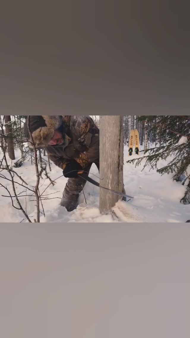 Нодья, лучшее для согрева #short #bushcraft #campfire смотреть онлайн