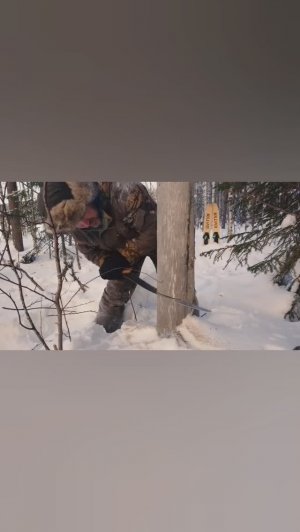 Нодья, лучшее для согрева #short #bushcraft #campfire