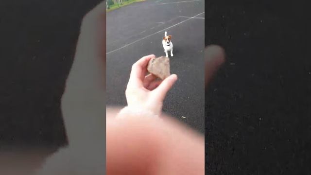 пр смотреть онлайн