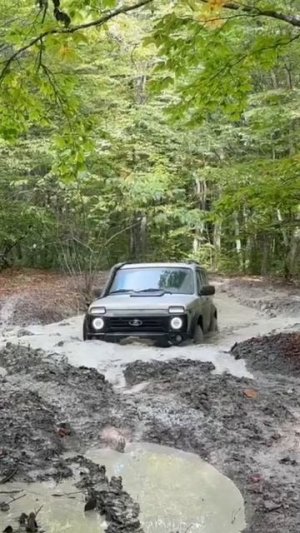 НИВАжно что у машины под капотом