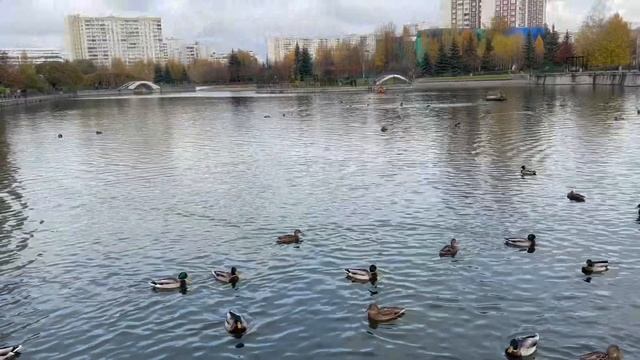 Приболела! Лечусь малиной смотреть онлайн