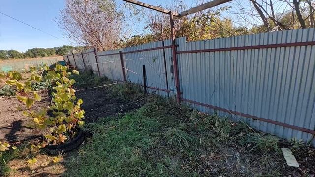 строю беседку