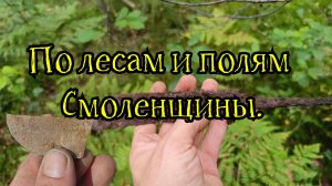 По лесам и полям Смоленщины.