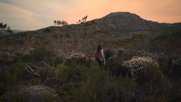 Где ты счастье моё?