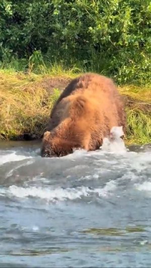 Вот как надо рыбачить 😁