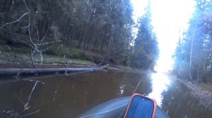 Рыбалка в Рощино. 18.10.25.