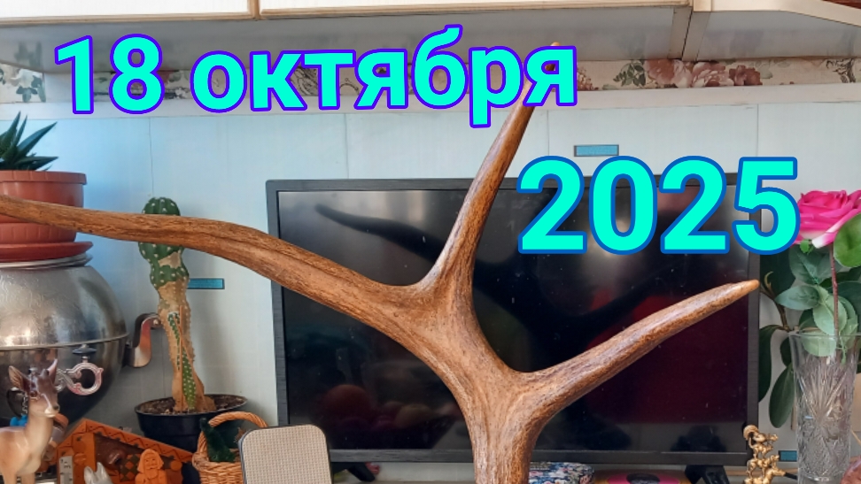 18 октября 2025. Ещё 30 книг... смотреть онлайн