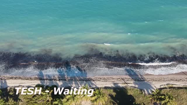 TESH - Waiting