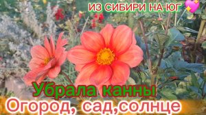 18-10-2025 Переезд из Сибири на юг 💖/Купили дом на юге ☀️/Грядка под чеснок/Убираем канны/Грибы/
