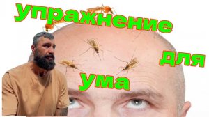 Как нейтрализовать проблему