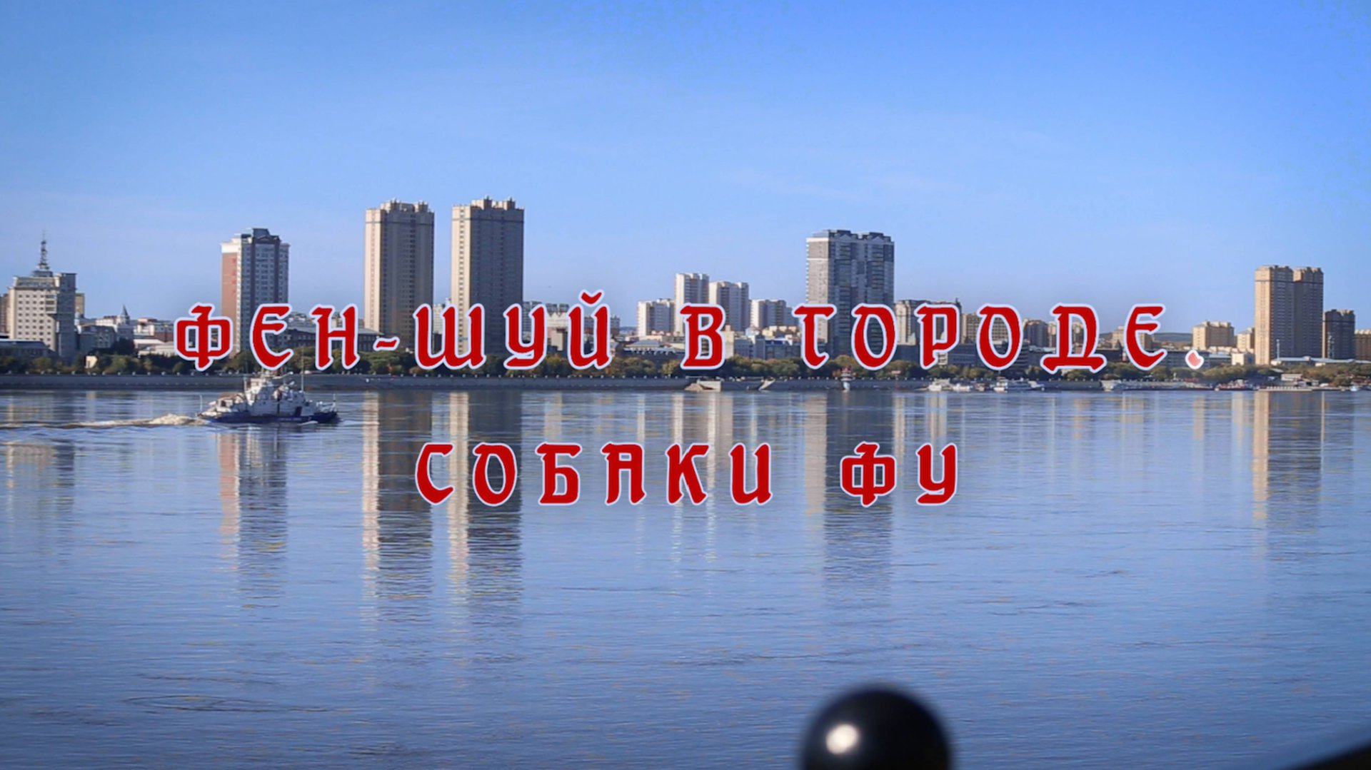 Феншуй в городе. Собаки Фу