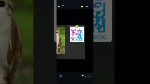 новый OG !!! смотреть онлайн
