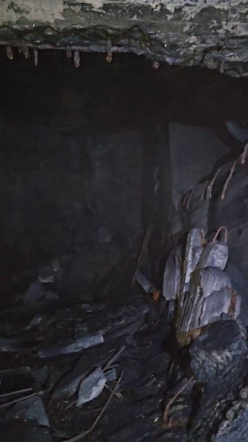 Карелия. Медвежьегорск. Гора Лысуха. Karelia. Medvezhyegorsk. Mount Lysukha смотреть онлайн