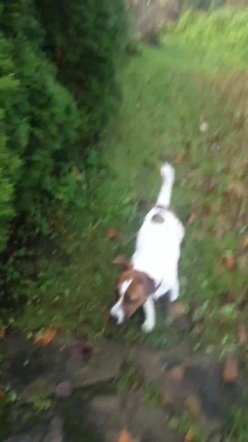 lv_0_20251018113054.mp4 смотреть онлайн