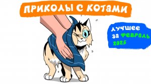Приколы с котами. ЛУЧШЕЕ ЗА ФЕВРАЛЬ 2025 | Мемозг