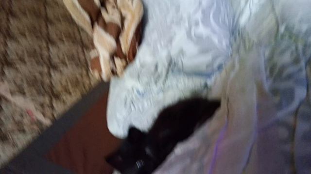 ура смотреть онлайн