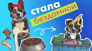 История Найды / Бумажные собаки / Питомцы из бумаги