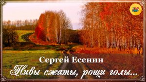 🍁 С. Есенин. Нивы сжаты, рощи голы | Стихи Есенина для детей | Стихи наизусть