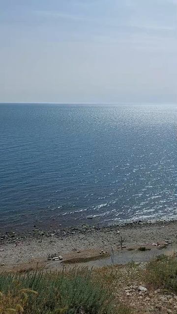 Показываю жизнь безработного смотреть онлайн