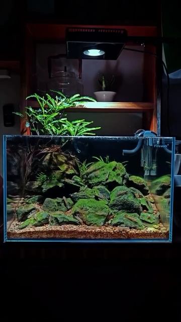 Начинаем_выходные_со_спокойствия,_расслабляемся_и_медитируем) смотреть онлайн