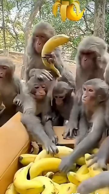 Итальянские мемы в реальной жизни 🤣🤣🤣🤣 смотреть онлайн