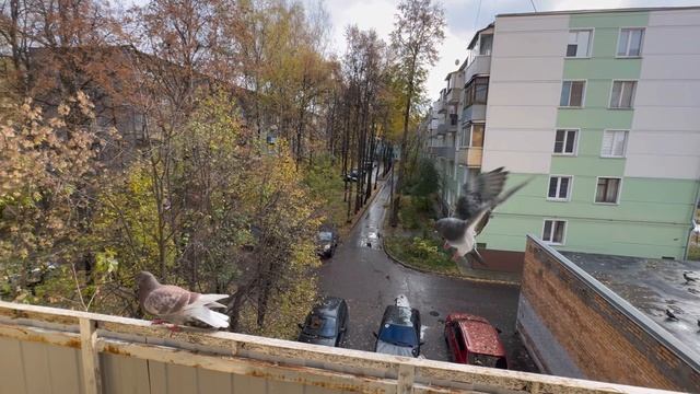 18-10-2025 смотреть онлайн